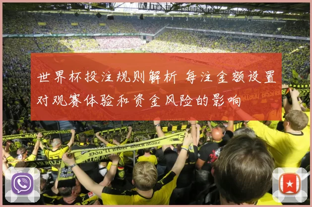 世界杯投注规则解析 每注金额设置对观赛体验和资金风险的影响