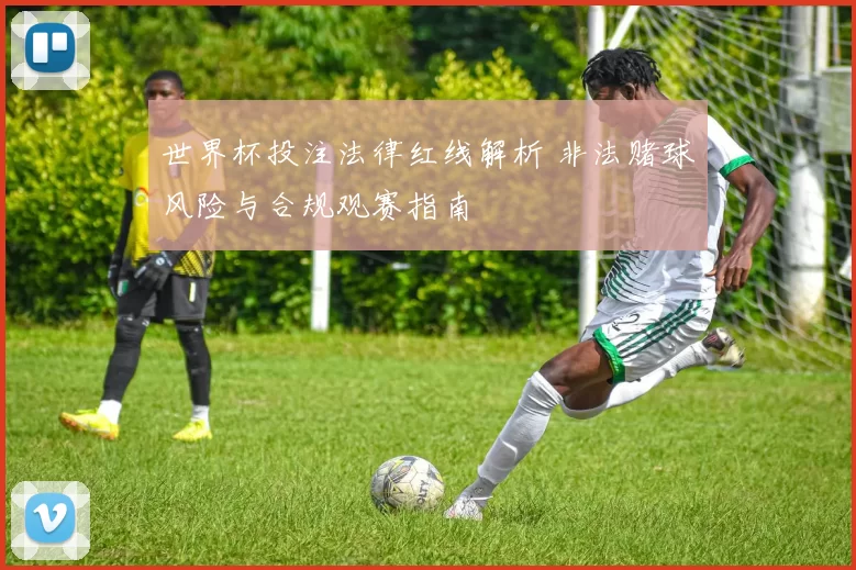 世界杯投注法律红线解析 非法赌球风险与合规观赛指南