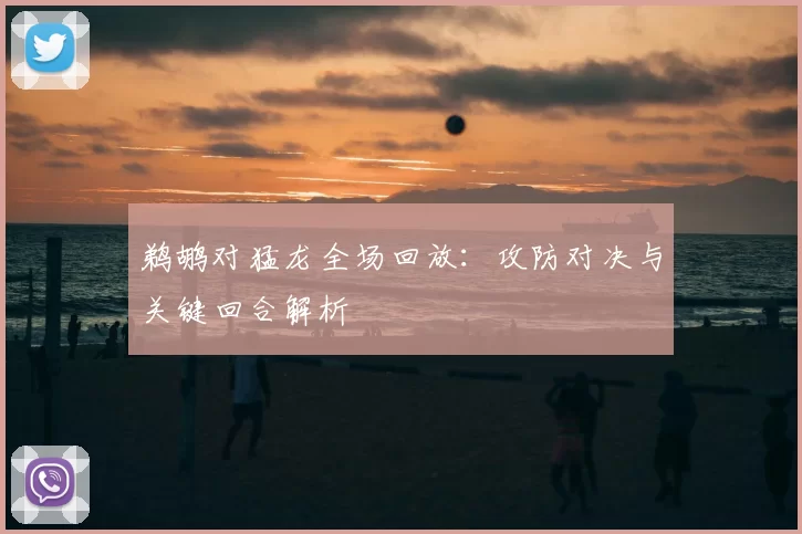 鹈鹕对猛龙全场回放：攻防对决与关键回合解析