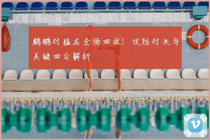 鹈鹕对猛龙全场回放：攻防对决与关键回合解析