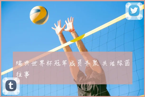 瑞典世界杯冠军成员齐聚 共话绿茵往事