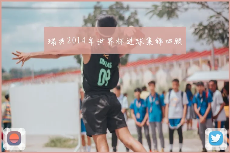 瑞典2014年世界杯进球集锦回顾