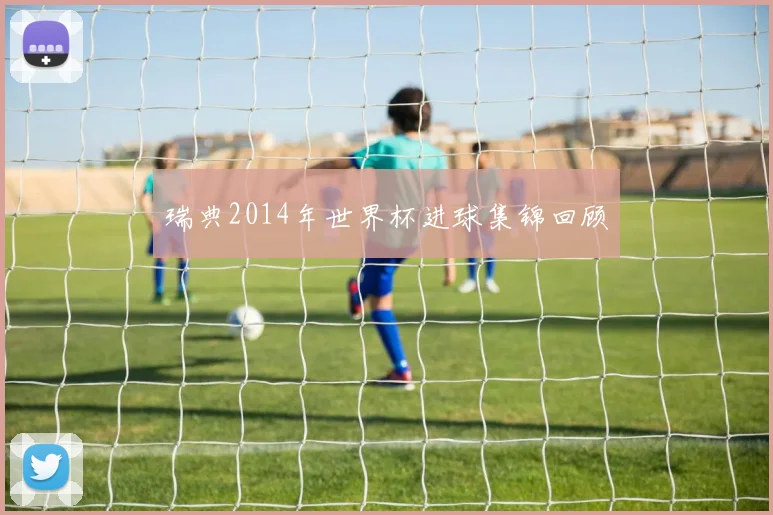 瑞典2014年世界杯进球集锦回顾